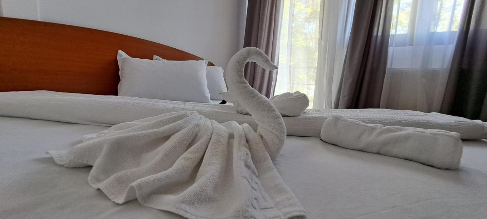 Hotel Pescarus Port ביקאז מראה חיצוני תמונה